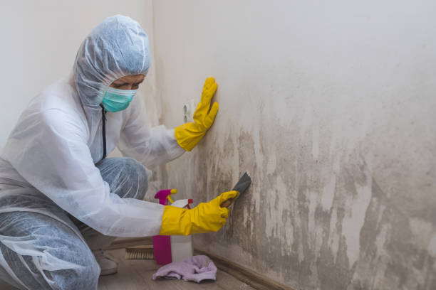 Best HVAC Mold Inspection and Cleaning  in Ptland, OR