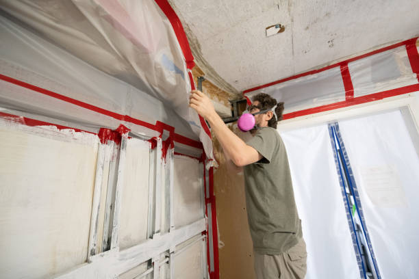 Best Biohazard Mold Removal  in Ptland, OR