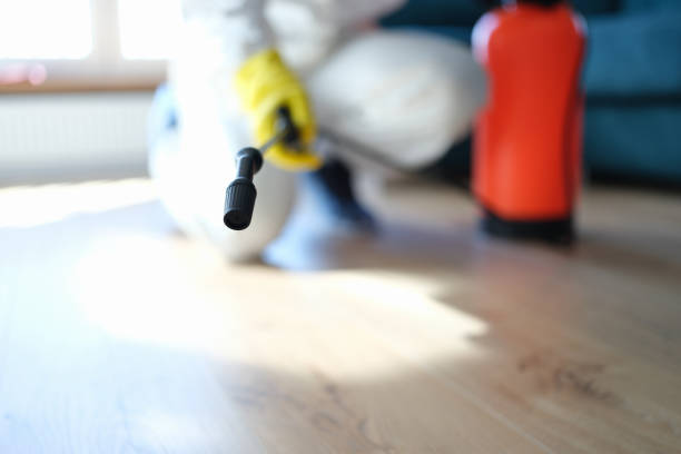 Biohazard Mold Removal in Portland, OR