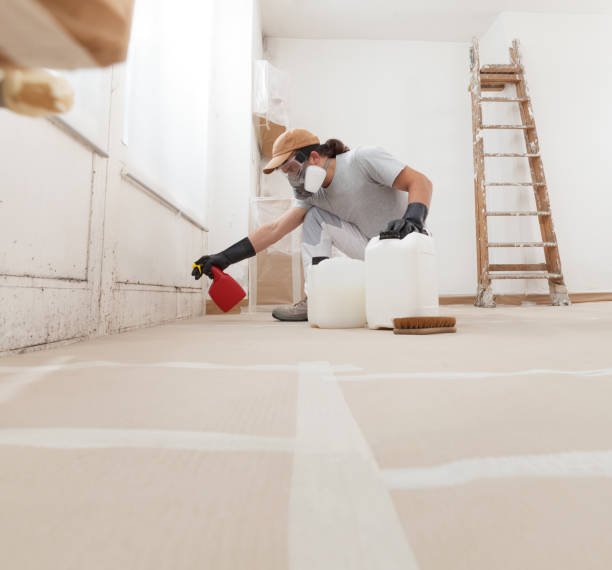  Ptland, OR Mold Removal Pros
